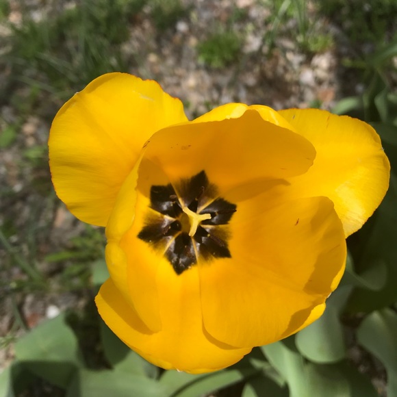 Meet your Posher, Michael - Picture 1 of 1